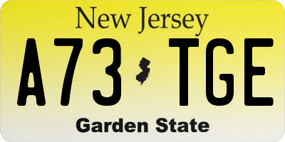 NJ license plate A73TGE