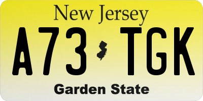NJ license plate A73TGK