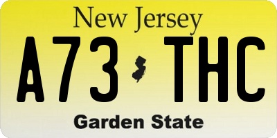 NJ license plate A73THC