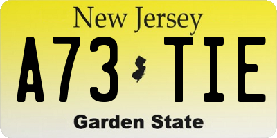 NJ license plate A73TIE