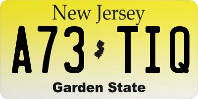 NJ license plate A73TIQ