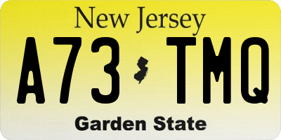 NJ license plate A73TMQ