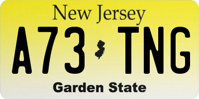 NJ license plate A73TNG