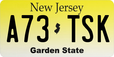 NJ license plate A73TSK
