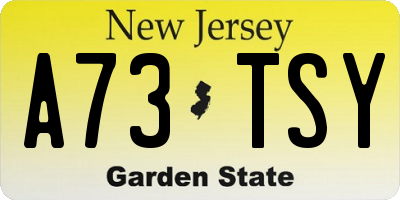 NJ license plate A73TSY