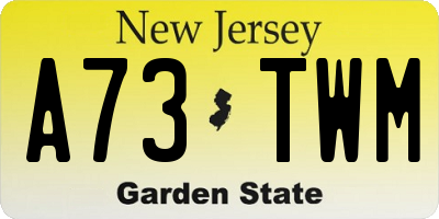 NJ license plate A73TWM