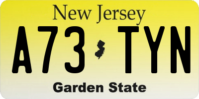 NJ license plate A73TYN