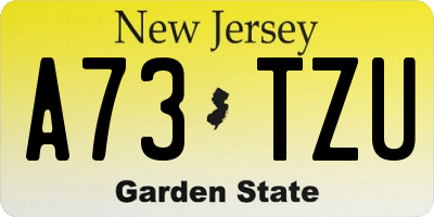 NJ license plate A73TZU