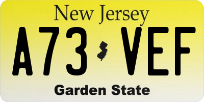 NJ license plate A73VEF