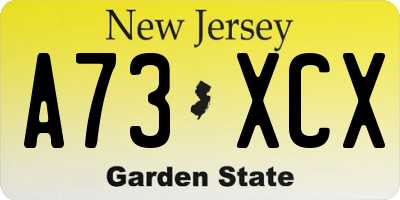 NJ license plate A73XCX