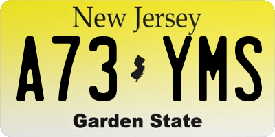 NJ license plate A73YMS