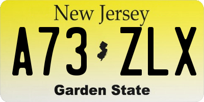 NJ license plate A73ZLX