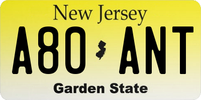 NJ license plate A80ANT