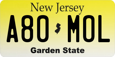NJ license plate A80MOL