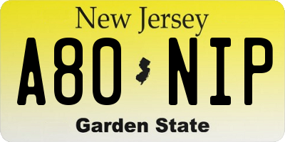 NJ license plate A80NIP