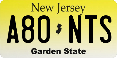 NJ license plate A80NTS