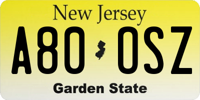 NJ license plate A80OSZ
