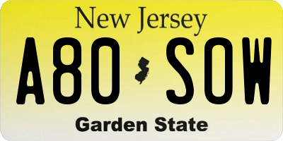 NJ license plate A80SOW