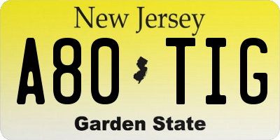 NJ license plate A80TIG