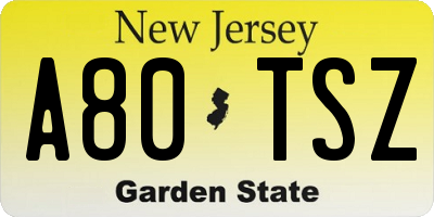 NJ license plate A80TSZ