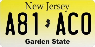NJ license plate A81ACO