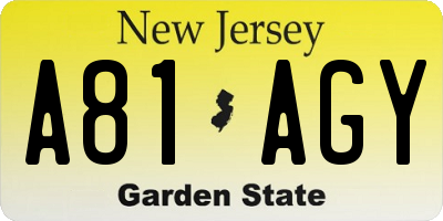 NJ license plate A81AGY
