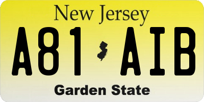 NJ license plate A81AIB