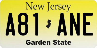 NJ license plate A81ANE
