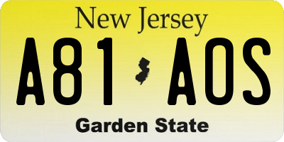 NJ license plate A81AOS