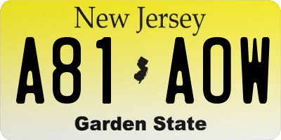 NJ license plate A81AOW