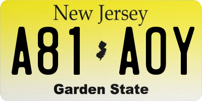 NJ license plate A81AOY