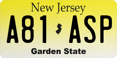 NJ license plate A81ASP
