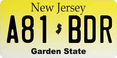 NJ license plate A81BDR