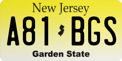 NJ license plate A81BGS