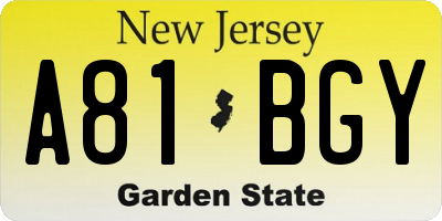 NJ license plate A81BGY