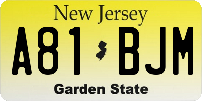 NJ license plate A81BJM