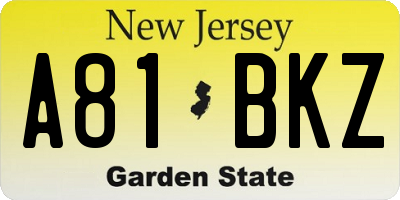 NJ license plate A81BKZ