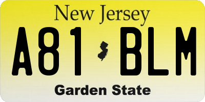 NJ license plate A81BLM