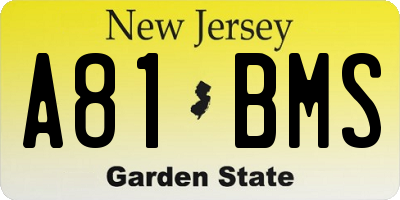 NJ license plate A81BMS