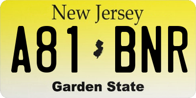NJ license plate A81BNR
