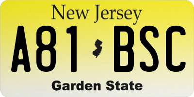 NJ license plate A81BSC