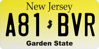 NJ license plate A81BVR