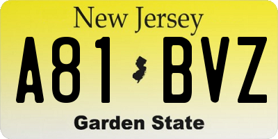 NJ license plate A81BVZ