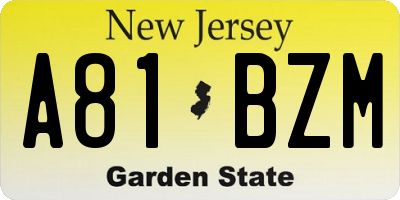 NJ license plate A81BZM