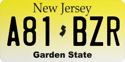 NJ license plate A81BZR