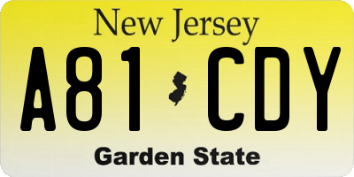 NJ license plate A81CDY