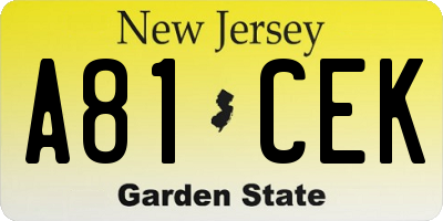 NJ license plate A81CEK