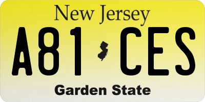 NJ license plate A81CES