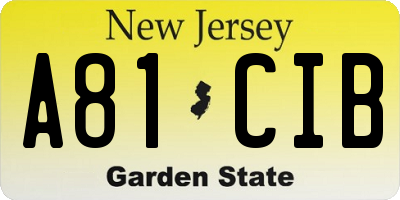 NJ license plate A81CIB