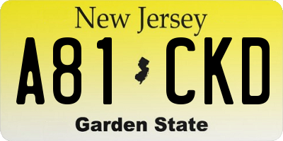 NJ license plate A81CKD